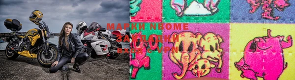 круглые Белокуриха